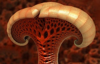 mandelbulber.jpg